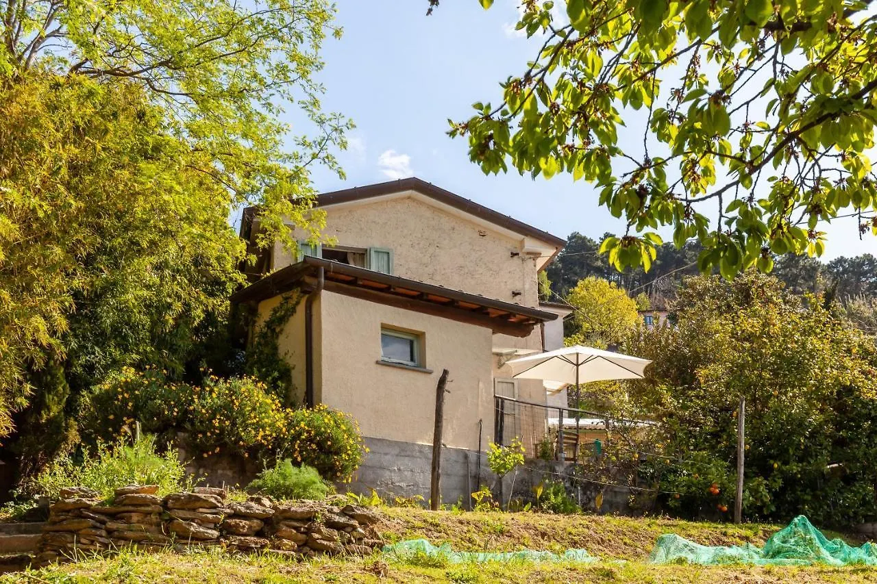 Il Pescino Villa Pietrasanta Vakantiehuis